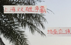 滬申花海港爭霸，雙雄對攻精彩，馬寧助陣。