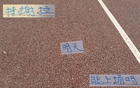 申花喜訊：朱辰杰現(xiàn)身訓(xùn)練，特謝拉缺席德比。