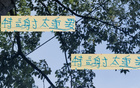 吳曦、楊皓宇無法替代特謝拉10號位，浙江比賽失利。