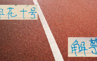 申花特謝拉復(fù)出，戰(zhàn)青島海牛，武漢三鎮(zhèn)有望勝出。