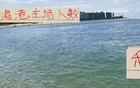 周末海港主場(chǎng)2萬(wàn)觀眾，申花引領(lǐng)下青島主場(chǎng)多1萬(wàn)。