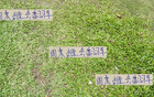 周末中超焦點(diǎn)：成都海港、山東國安，前四誰將失利？