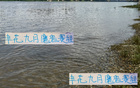 申花九月抉擇：聯(lián)賽亞冠難兩全，需擇一而攻。