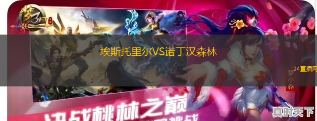 埃斯托里爾VS諾丁漢森林