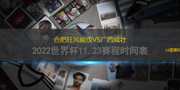合肥狂風峻茂VS廣西威壯