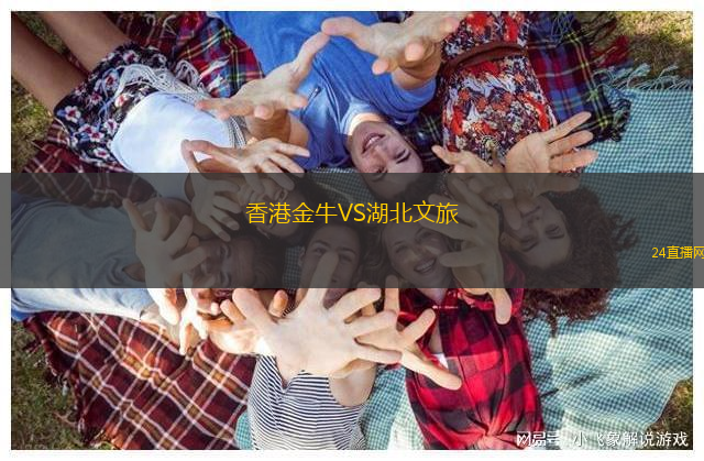 香港金牛VS湖北文旅
