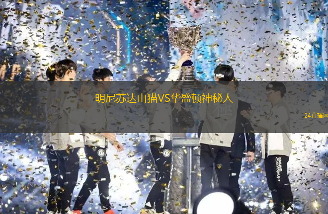 明尼蘇達(dá)山貓VS華盛頓神秘人