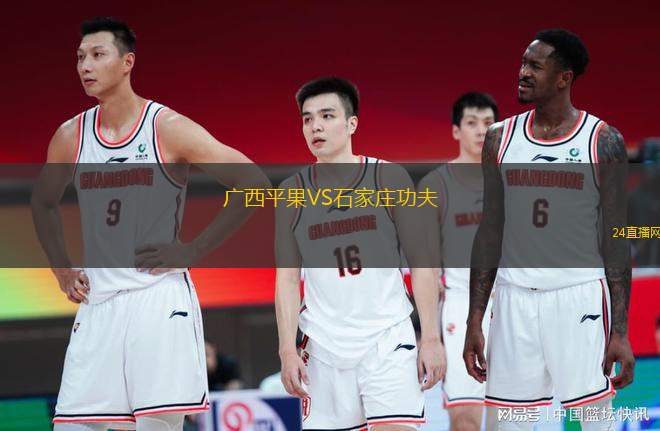哈馬比VS沙勒羅瓦