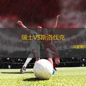 瑞士VS斯洛伐克