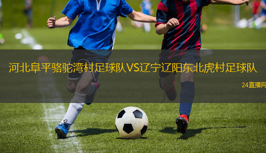 河北阜平駱駝灣村足球隊(duì)VS遼寧遼陽東北虎村足球隊(duì)
