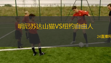 明尼蘇達山貓VS紐約自由人