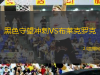 岡山綠雉VS柏太陽(yáng)神