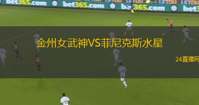 金州女武神VS菲尼克斯水星