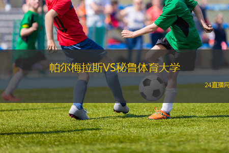 帕爾梅拉斯VS秘魯體育大學