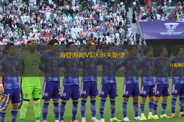 海登海姆VS沃爾夫斯堡