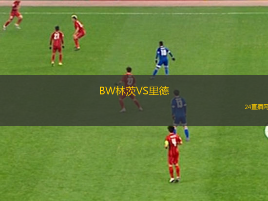 BW林茨VS里德